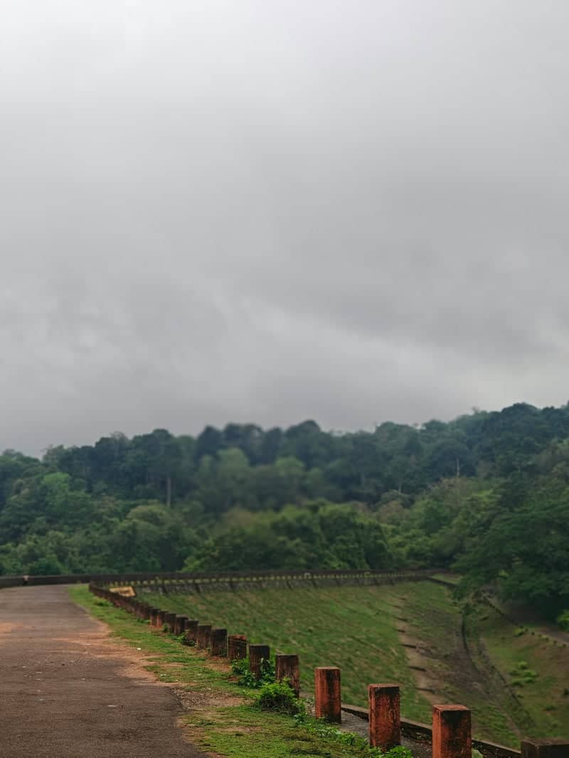 Thenmala Dam Embankment - Image 1