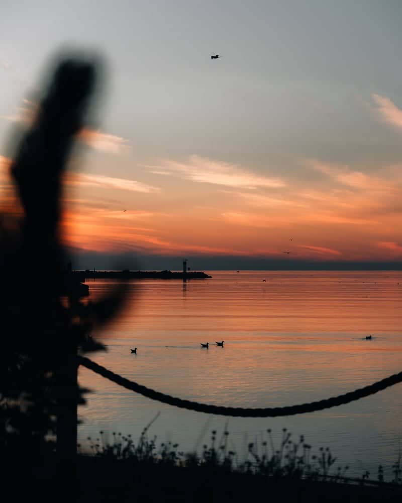 Bronte Harbour - Image 1