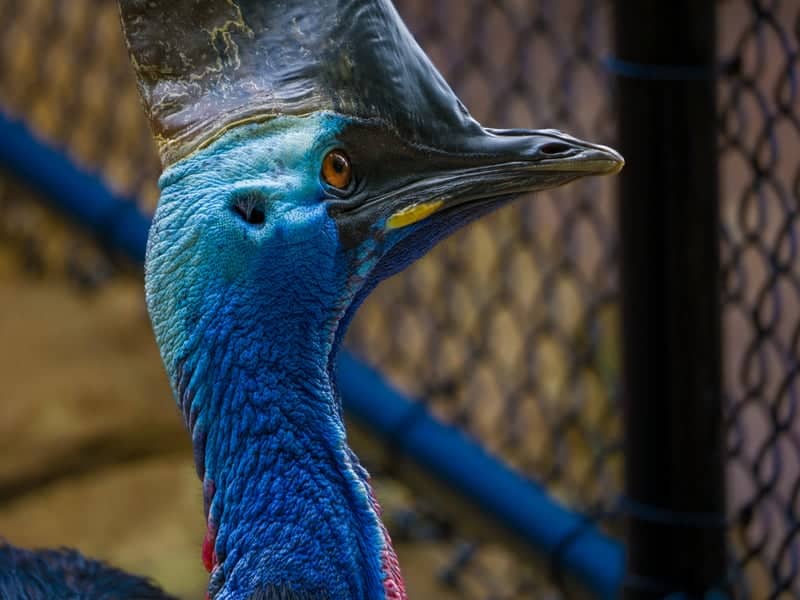 Greensboro Science Center - Image 1