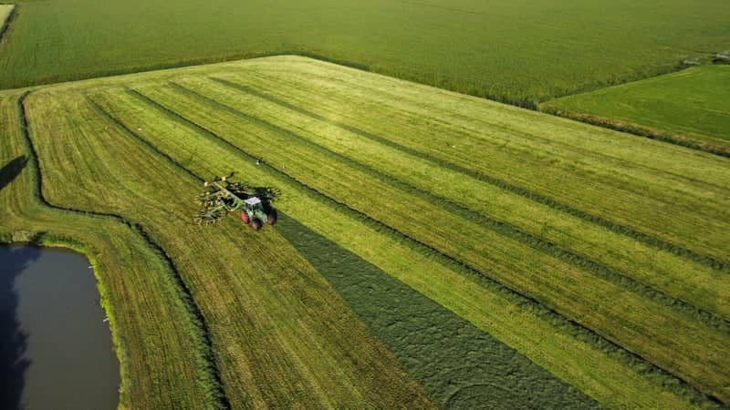 Garnwerd Farmland - Image 1