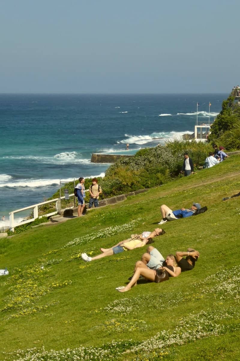 Bondi Beach Grassy Knoll - Image 1