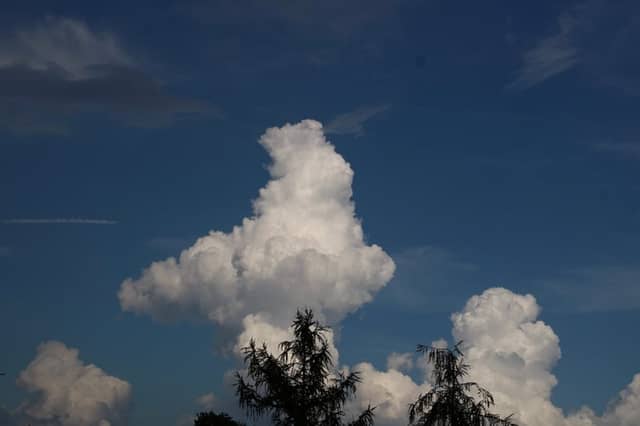 Rzeszów Reservoir Skyview - Image 1
