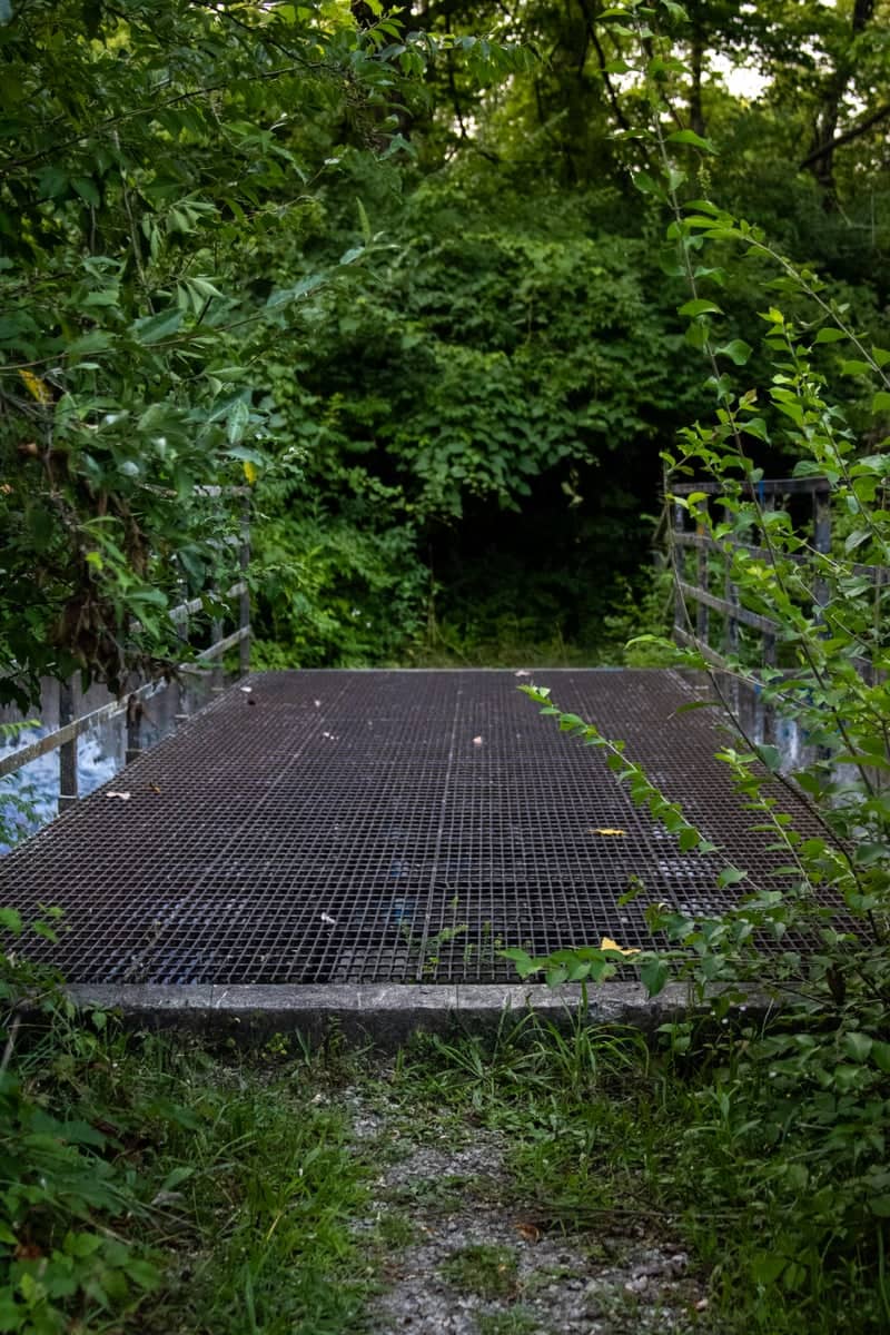 Olentangy River Footbridge - Image 1