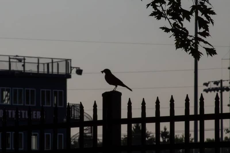 Heise Park - Image 1