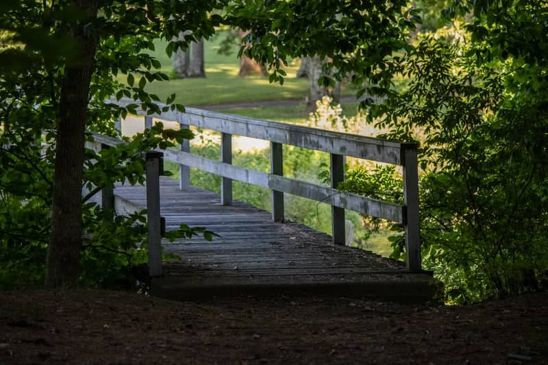 Clear Fork Reservoir - Image 1