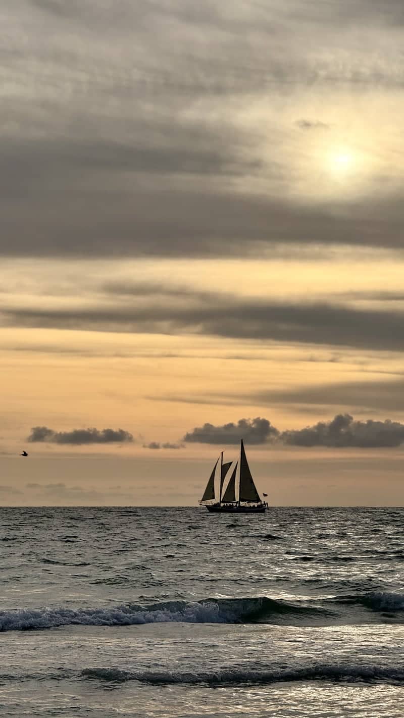 Sand Key Park Beach - Image 1