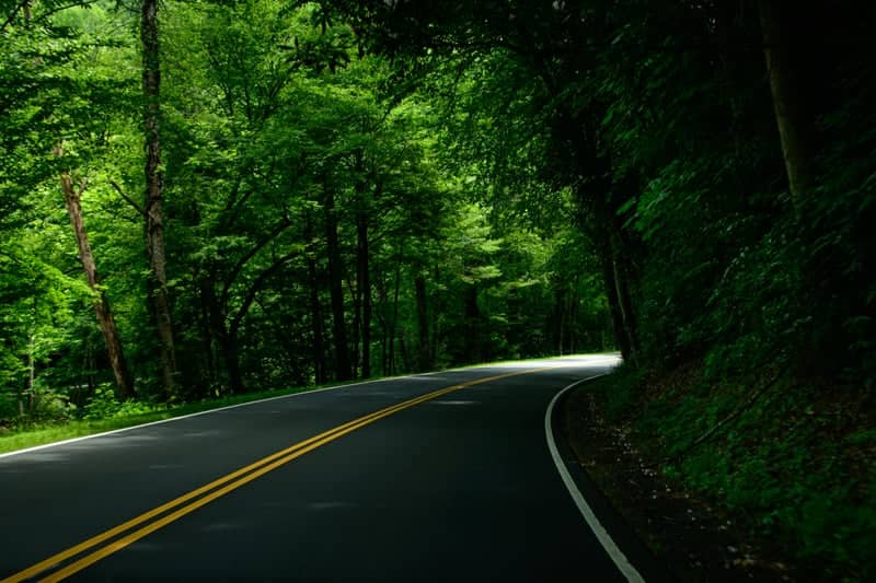 Smoky Mountain Trail Forest Drive - Image 1
