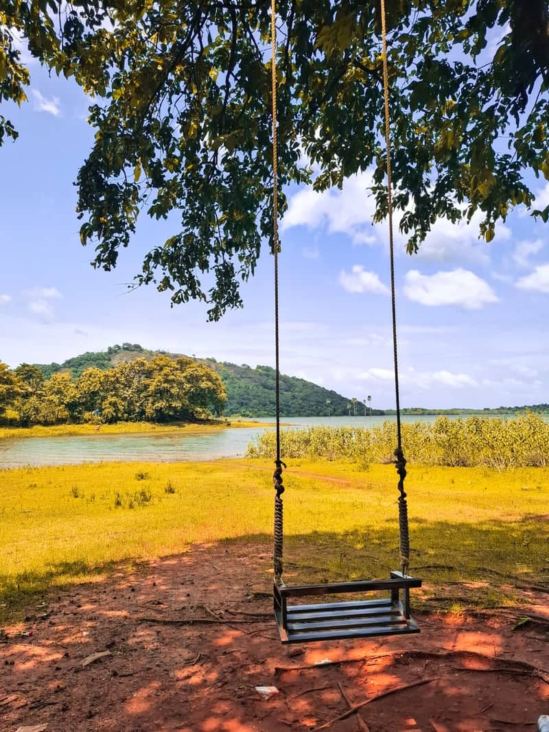 Kanjirapuzha Reservoir - Image 1