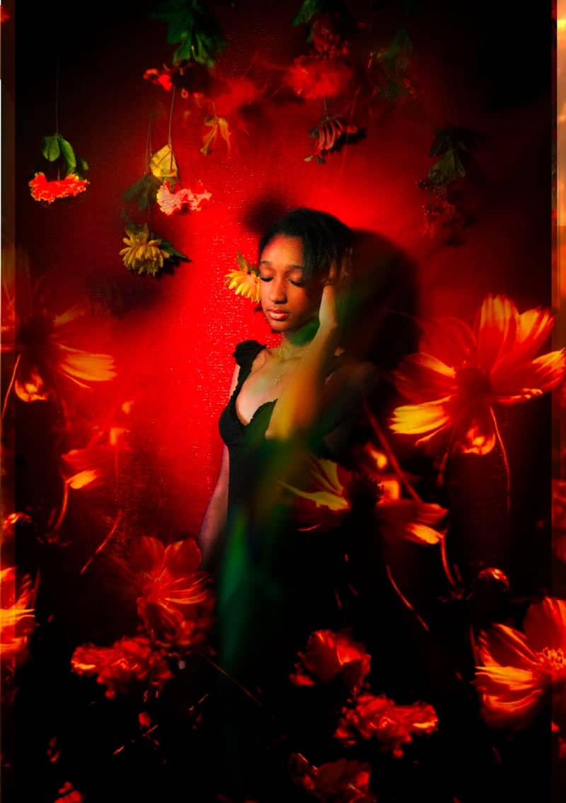 Holly Springs Portrait Studio - Image 1