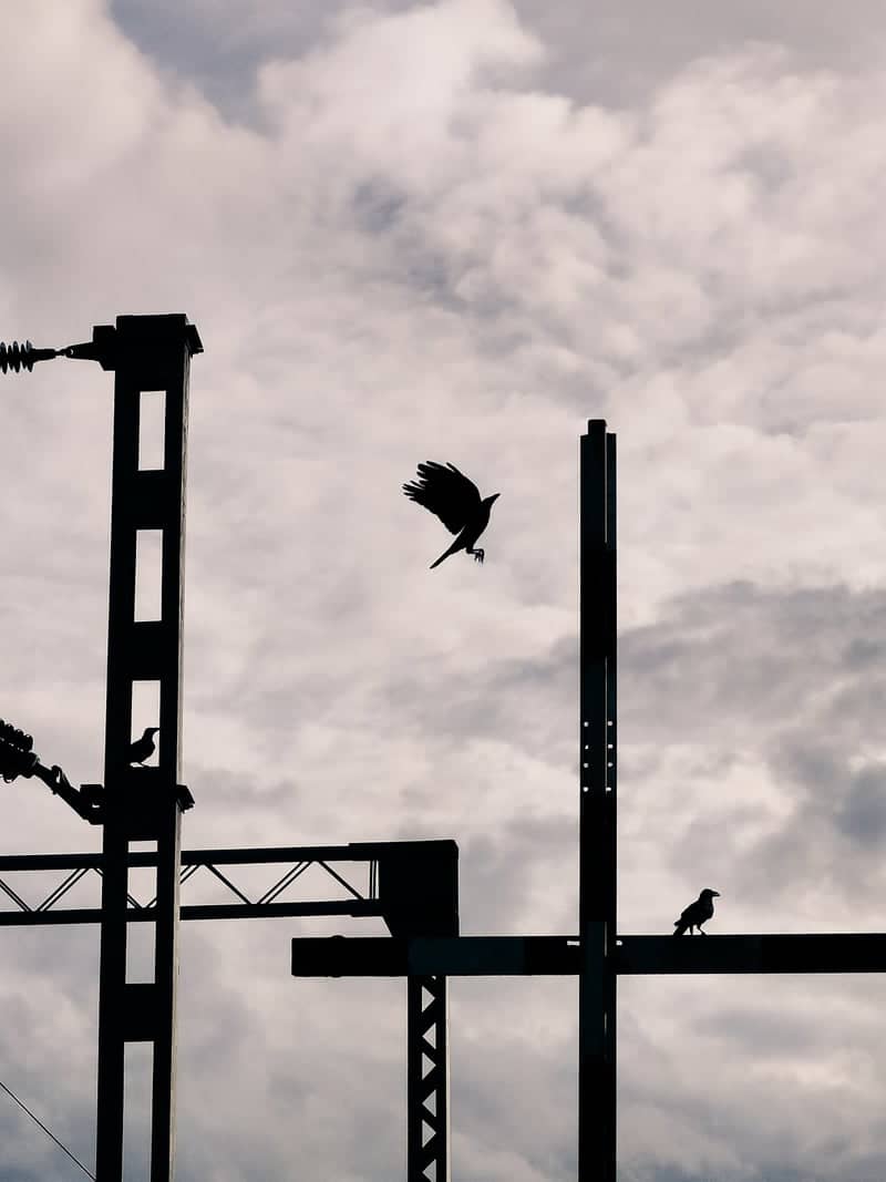Channapatna Railway Crossing Silhouettes - Image 1