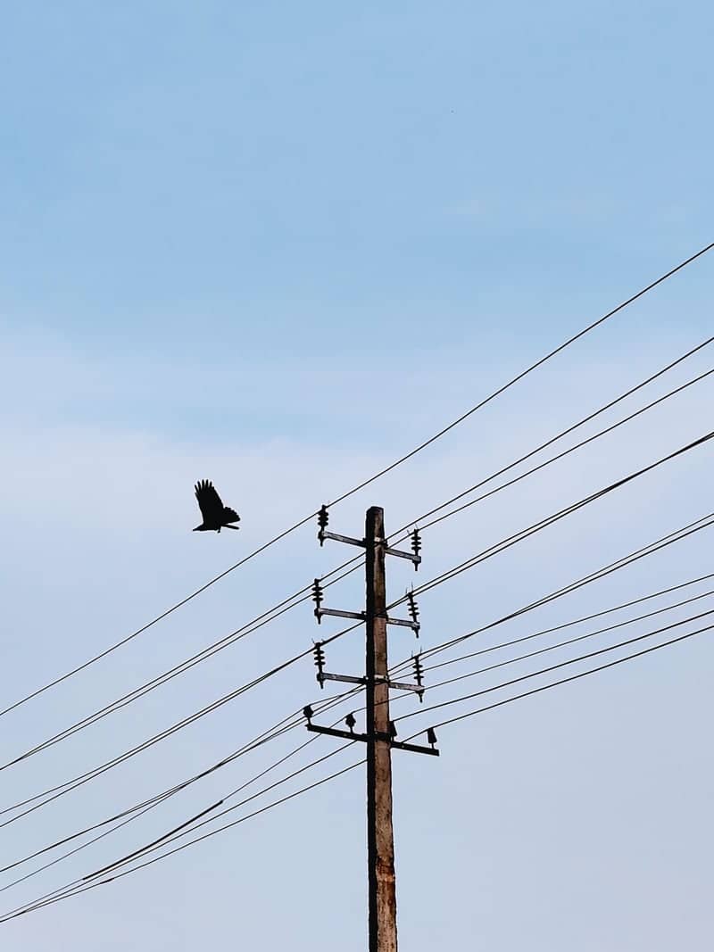 Channapatna Street Minimalist - Image 1