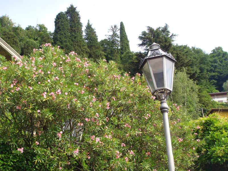 Varenna Lakeside Path - Image 1