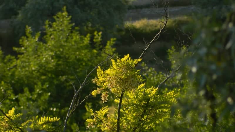 Etimesgut - Image 1