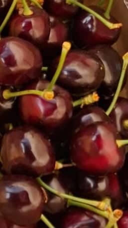 Mierlo Cherry Farm - Image 1