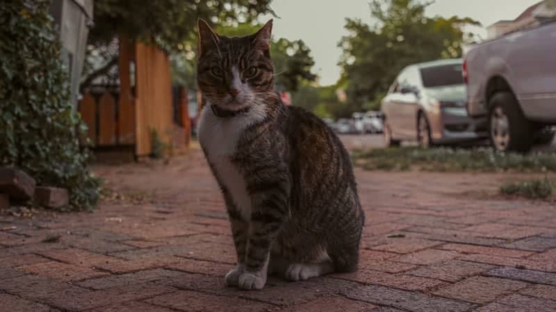 Shockoe Slip Historic District - Image 1