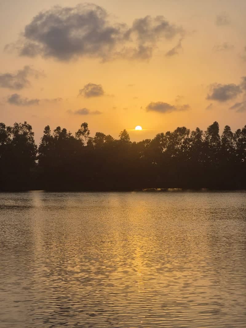 Navsari Lakeside Sunset - Image 1