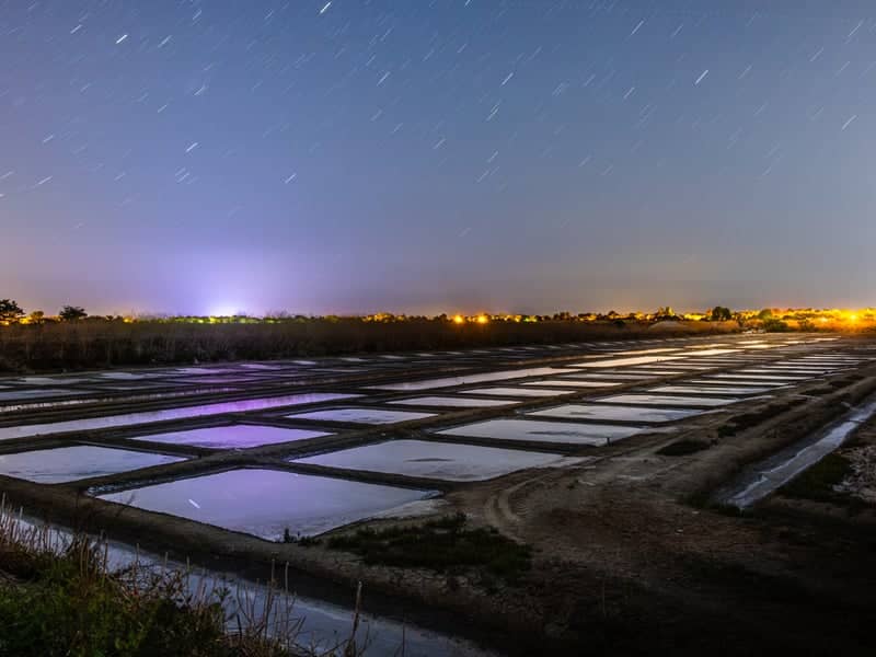 Les Portes-en-Ré Salt Marshes - Image 1