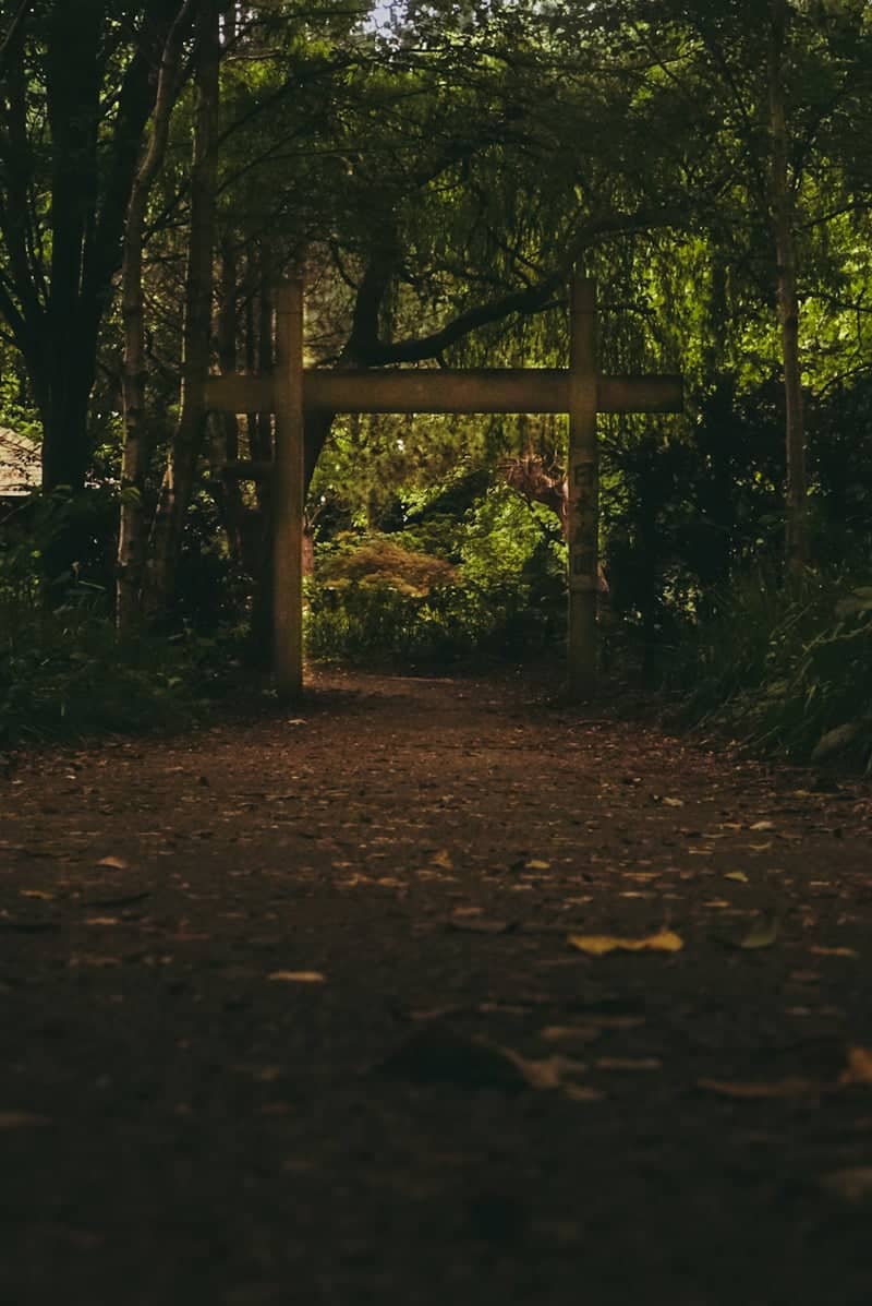Japanese Garden at Festival Gardens - Image 1