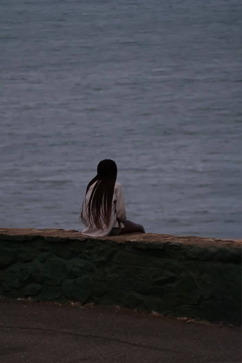 Rex Lookout - Image 1