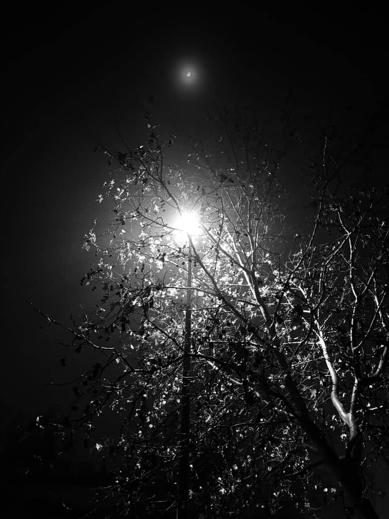Cáceres Urban Nightscape - Image 1