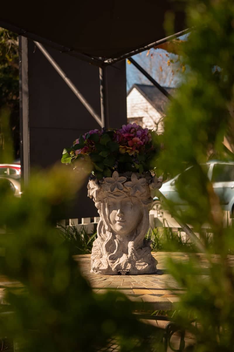 Gallery Walk, Tamborine Mountain - Image 1