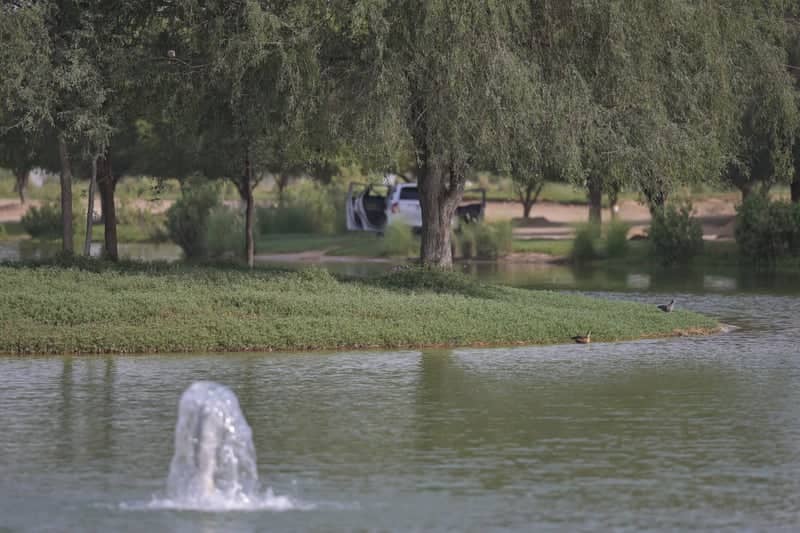 Al Qudra Lakes - Image 1