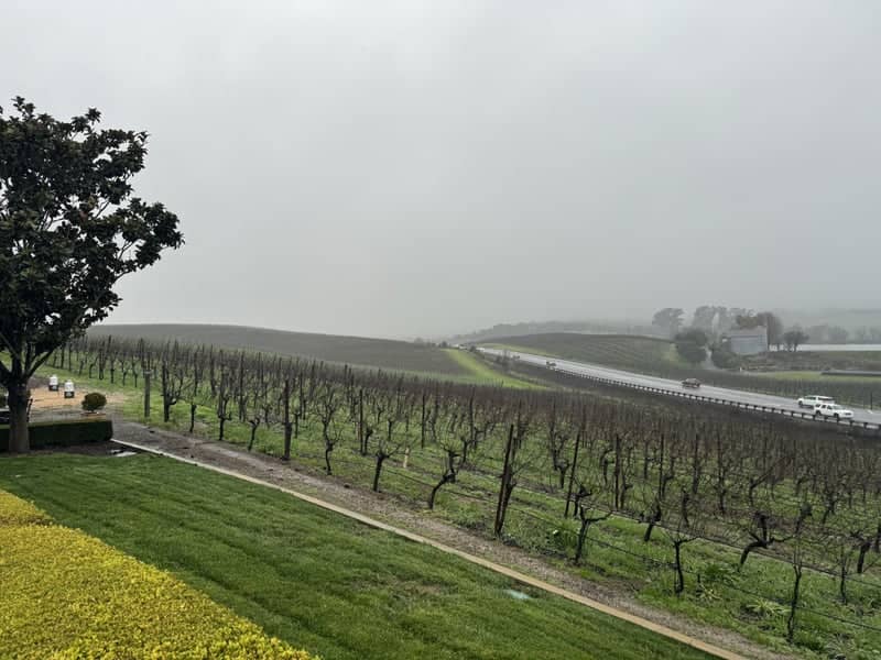 Domaine Carneros Vineyards - Image 1