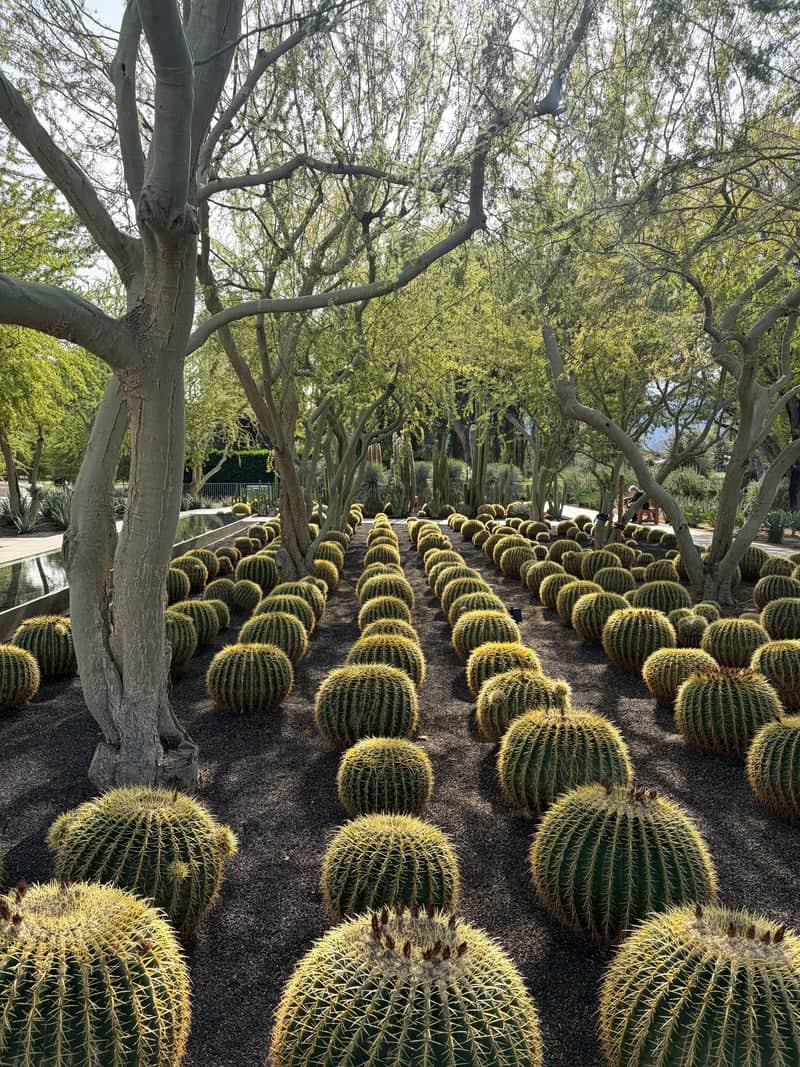 Sunnylands Center & Gardens - Image 1