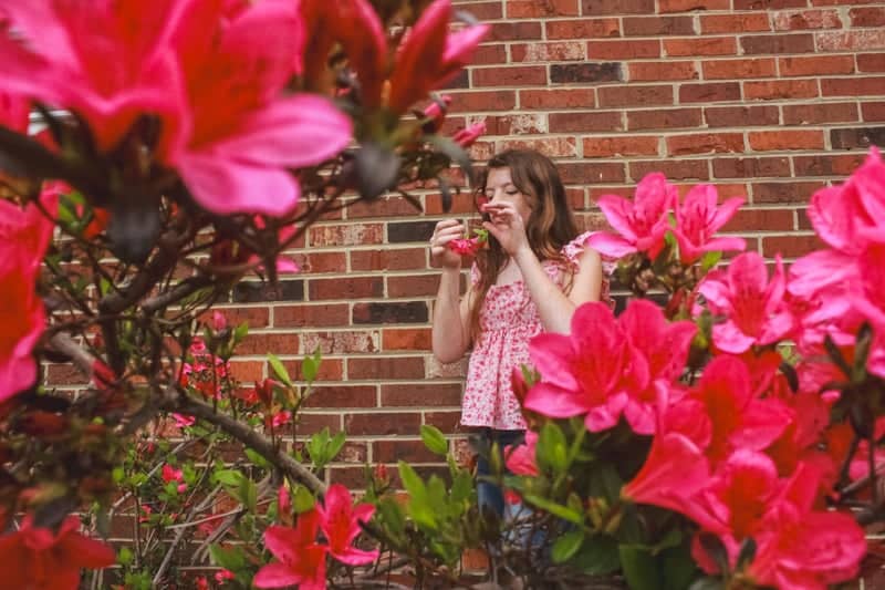 Center Street Azalea Wall - Image 1