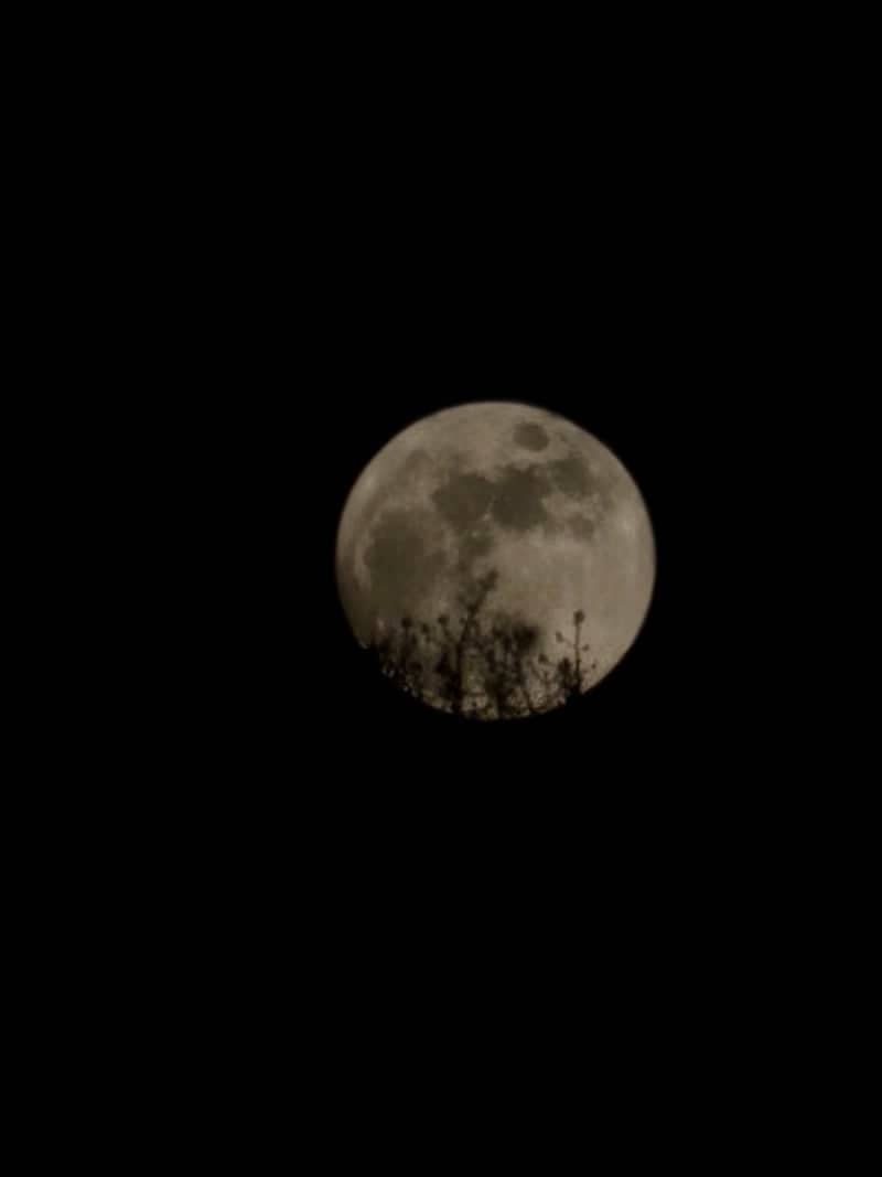 Full Moon over Emmen - Image 1