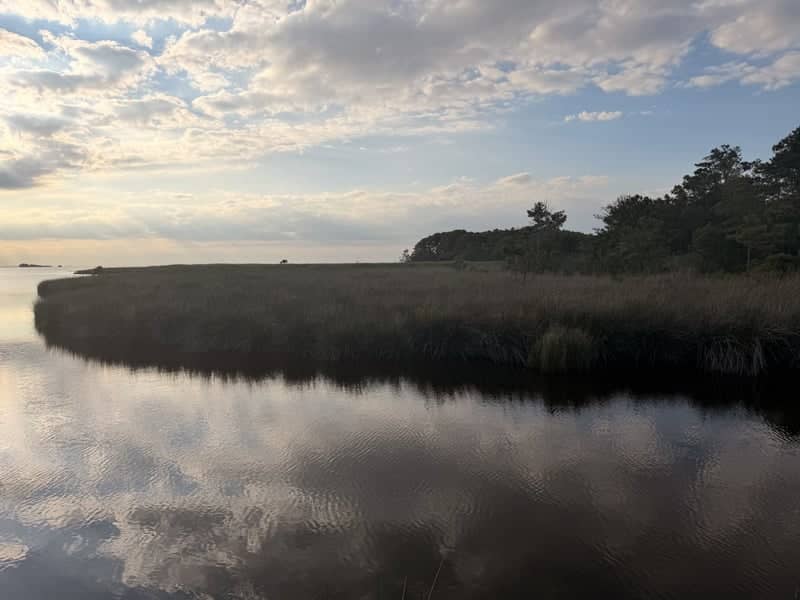 Currituck Sound Marshland - Image 1