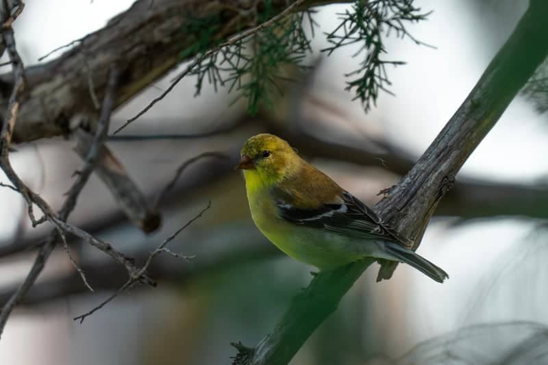 New Hampton Nature Spot - Image 1