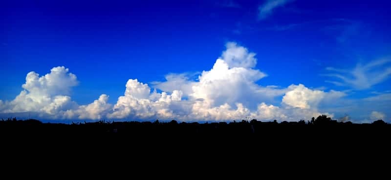 Banyuwangi Rural Horizon - Image 1