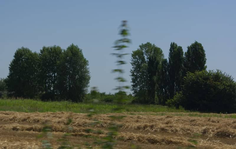 Camponogara Rural Fields - Image 1