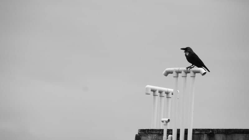 Nellore Urban Rooftop - Image 1