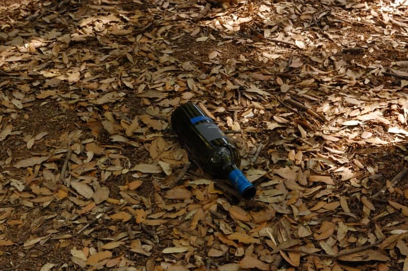 Woodlands of Corciano - Image 1