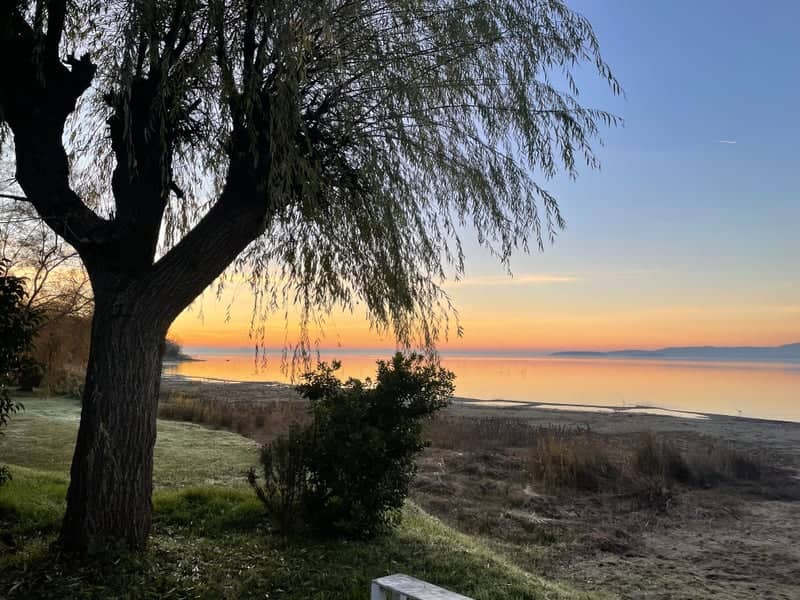 Lake Trasimeno Shoreline - Image 1
