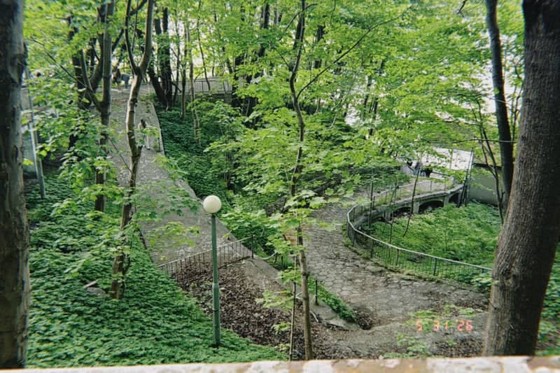 Zelenogradsk City Park Walkway - Image 1