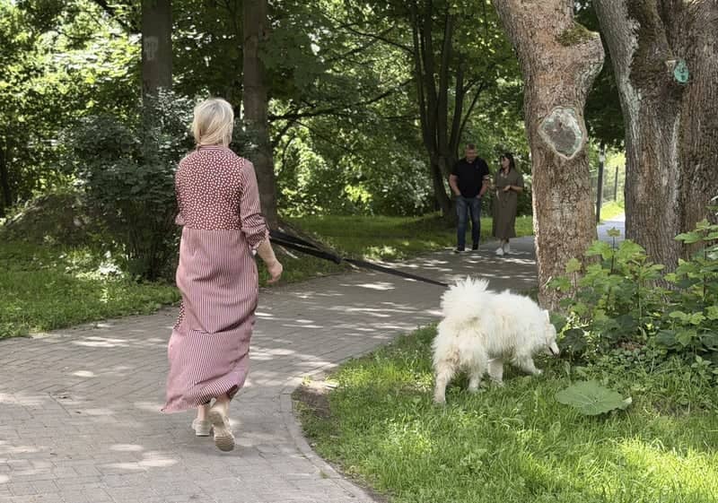 Central Park of Culture and Rest, Kaliningrad - Image 1