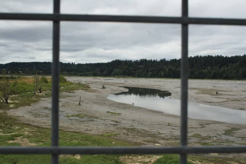 Cowlitz River Basin Viewpoint - Image 1