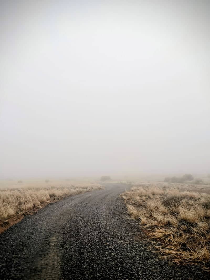 Misty High Desert Trail - Image 1