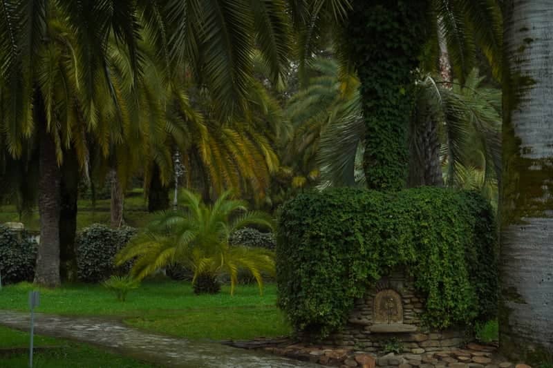 Sochi Arboretum (Dendrarium) - Image 1