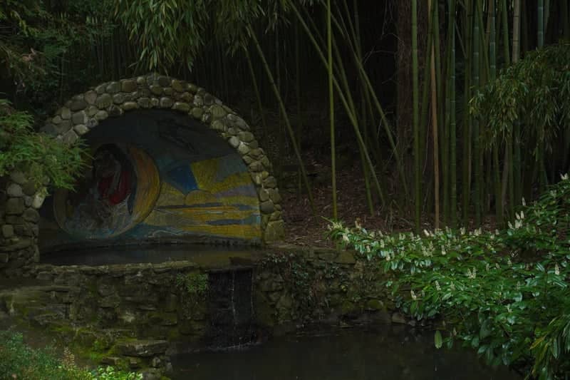 Sochi Arboretum Bamboo Grotto - Image 1