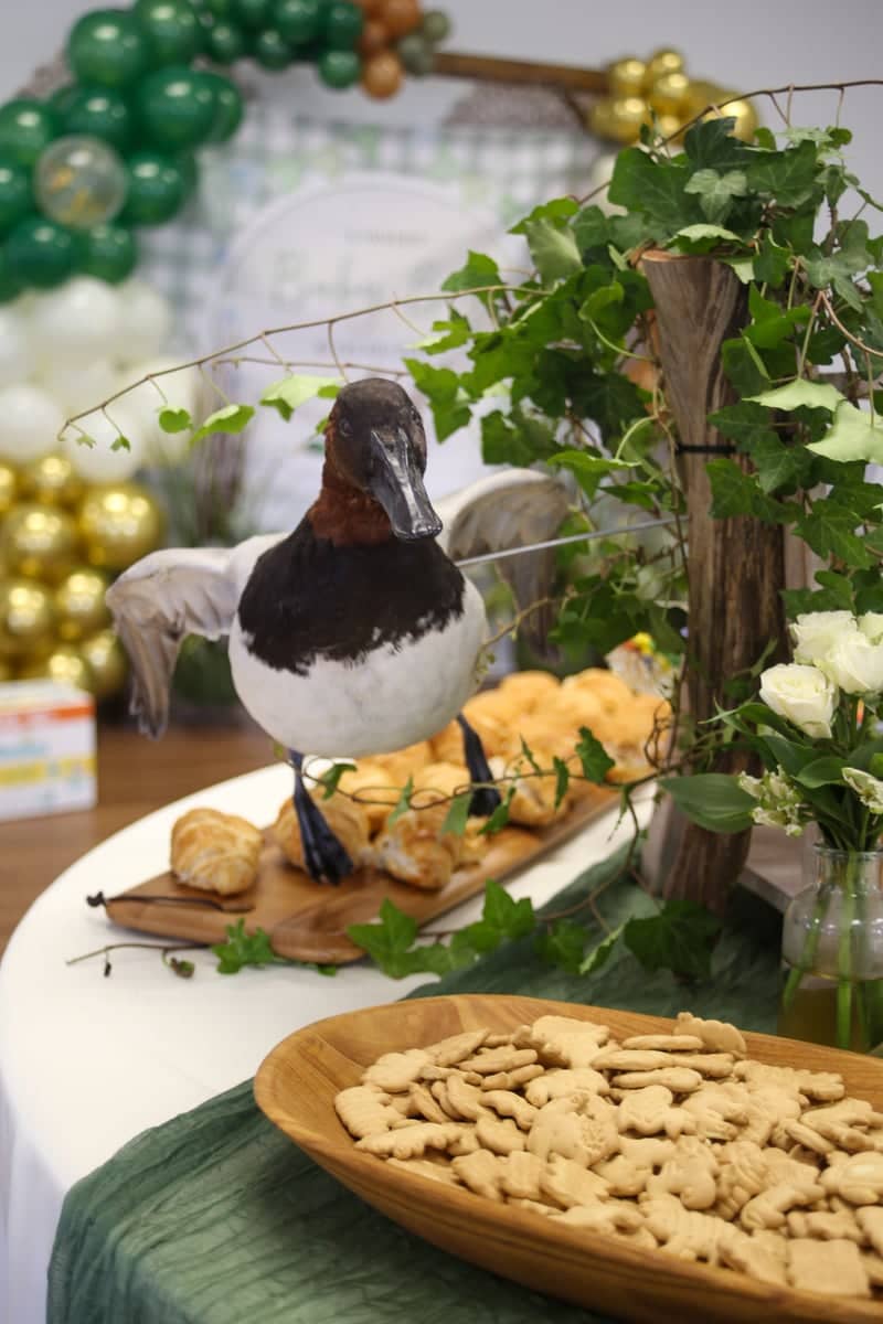 Sheffield Event Center Themed Display - Image 1