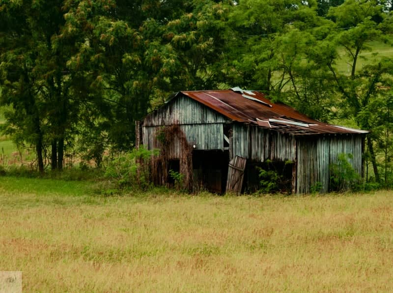 Rustic Kentucky Backroad Barn - Image 1