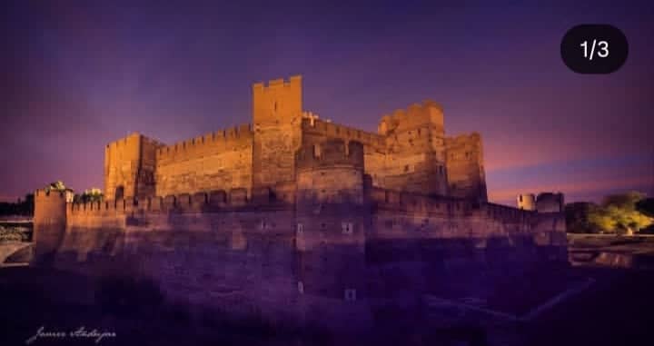 Castillo de la Mota - Image 1