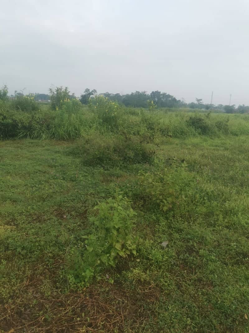 Sanggau Rural Fields - Image 1