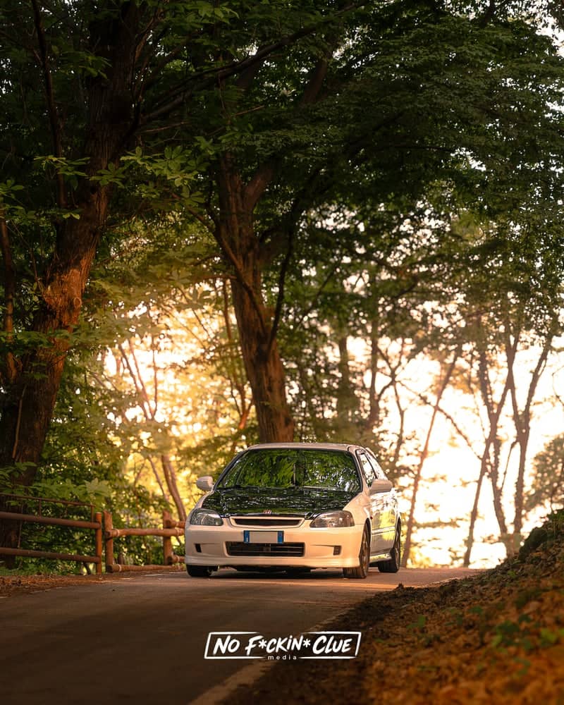 Montello Forest Roads - Image 1