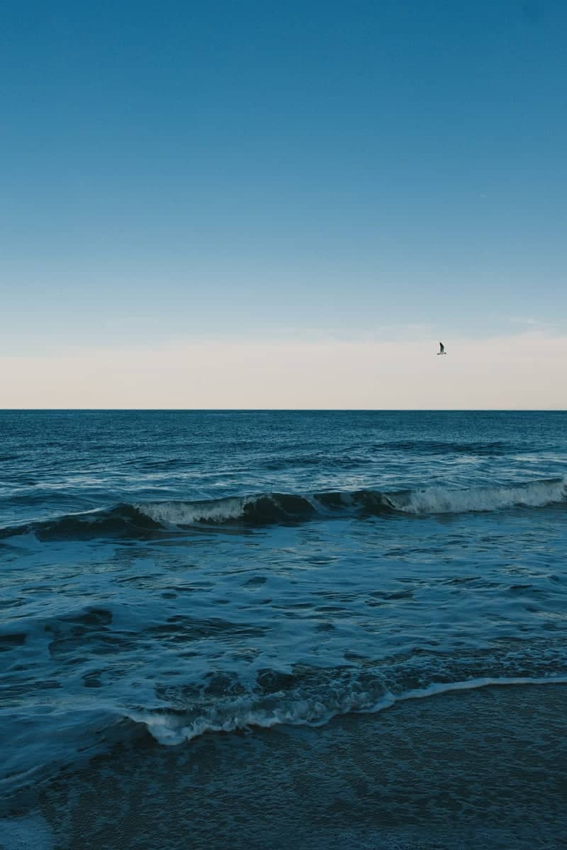 Rehoboth Beach - Image 1