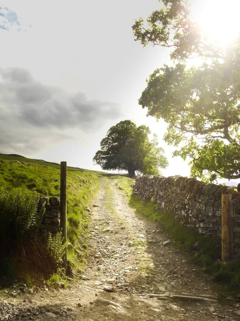 Aberfeldy Hillside Track - Image 1